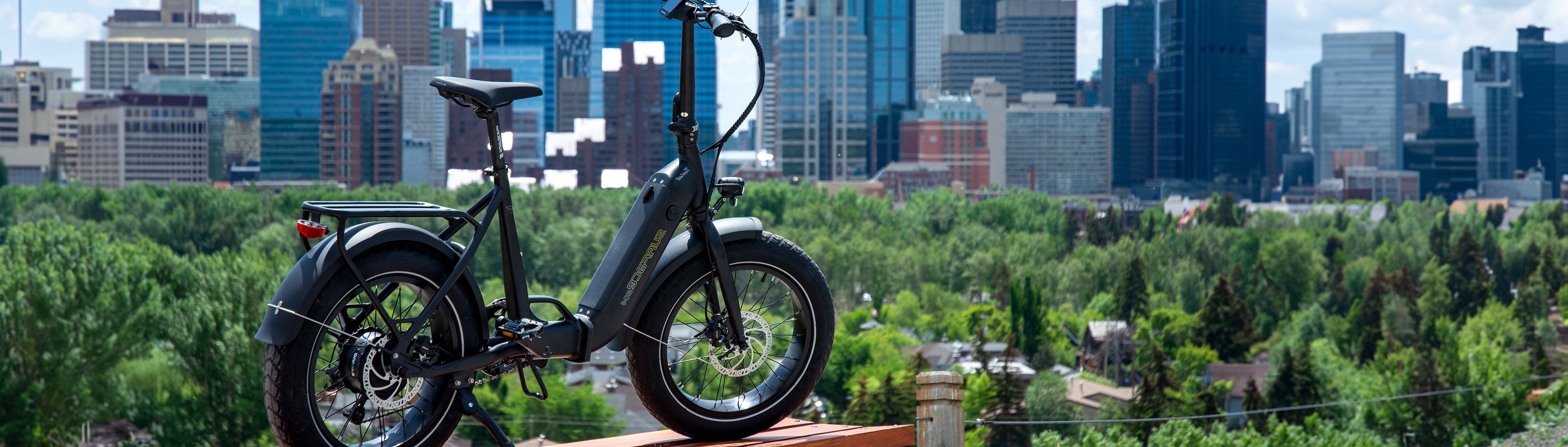 Surface 604 Twist eBike parked on hill overlooking city landscape