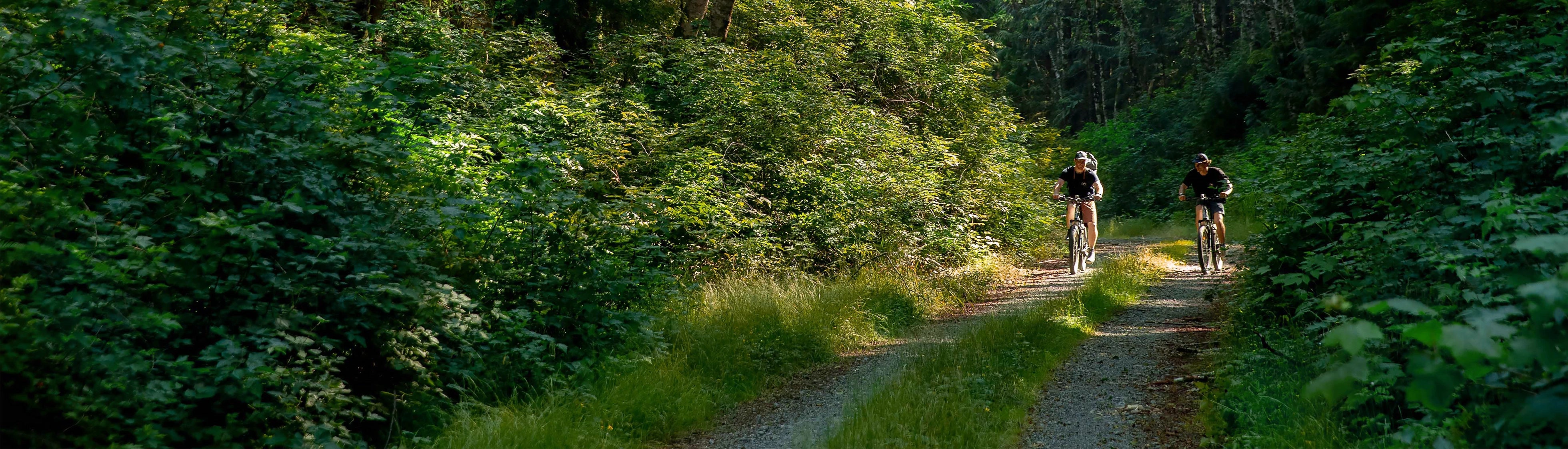 Person biking on eBike in the forest