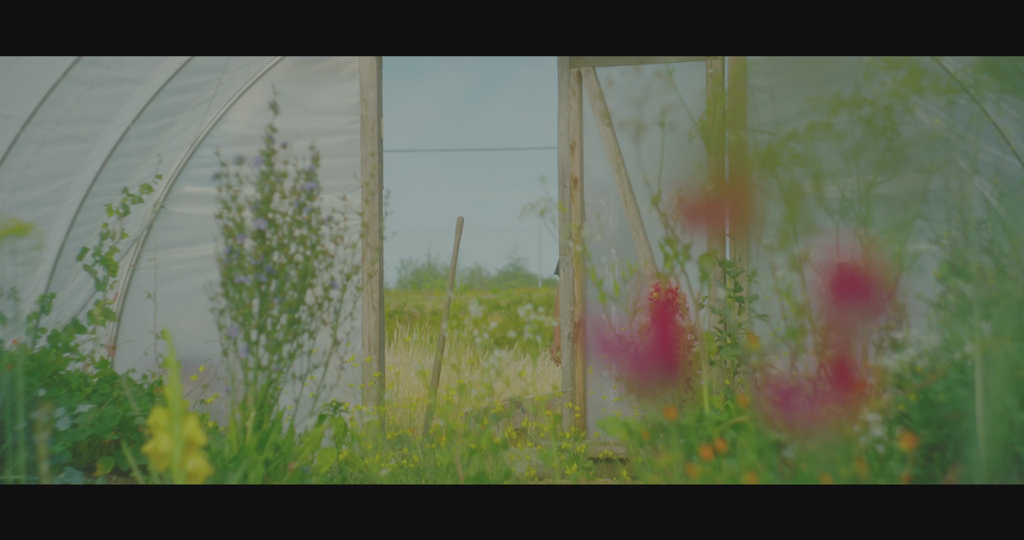 Load video:
