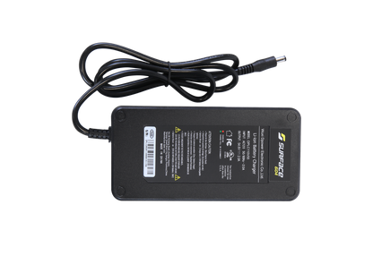 48V 2A Charger